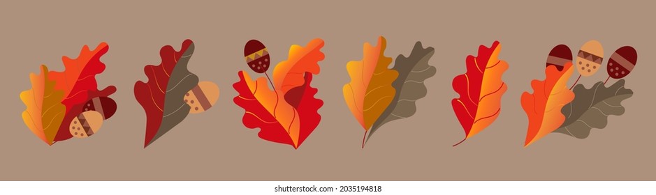 A set of autumn oak leaves, branches and acorns. Autumn elements of floral design.