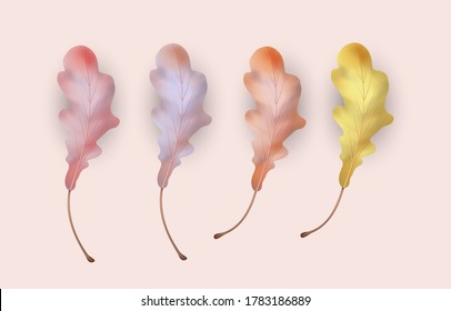 Set of autumn oak leaves. Vector illustration