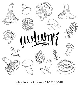 Set of autumn objects black and white mushrooms