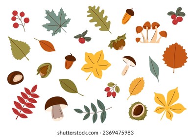 Conjunto de objetos otoñales - hojas, setas, bayas, bellotas. Cosecha, otoño y día de Acción de Gracias.