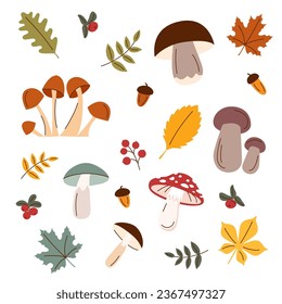 Set of autumn objects - mushrooms, berries, acorns and leaves. Harvest, autumn and Thanksgiving concept.
