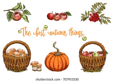 Set of autumn objects. Mushrooms, umbrella, apples and fall leaves. Vector illustration collection
