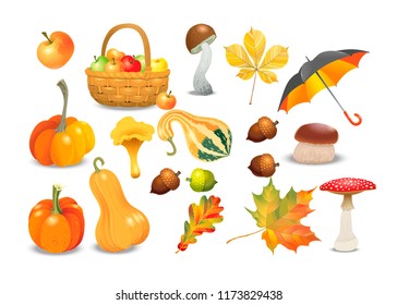 Set of autumn objects. Pumpkins different types, mushrooms, umbrella, apples, acorns and leaves. Vector illustration collection