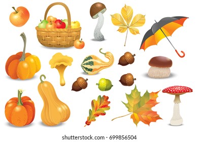 Set of autumn objects. Pumpkins different types, mushrooms, umbrella, apples and fall leaves. Vector illustration collection