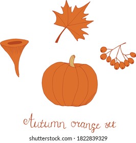 Set of autumn orange leaves, berries, mushroom and pumpkin. Vector illustration. Hand drawn lettering.