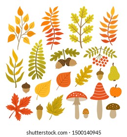Set of autumn plant elements. Flat style. Vector illustration.