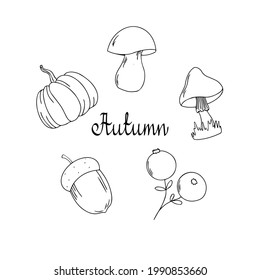 Set of autumn plant elements. Mushrooms, pumpkin, acorn berries isolated on white background in sketch outline style. Hand drawn black and white vector collection with lettering autumn