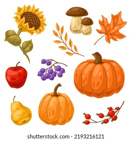 Set of autumn plants. Harvest illustration of vegetables and leaves.