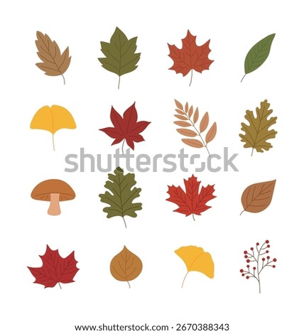 A set of autumn plants, including fallen leaves, ginkgo leaves, maple leaves, berries, and mushrooms. Perfect for nature-themed projects and fall decorations. The charming, hand-drawn design.