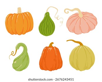 Conjunto de calabaza de otoño. Dibujado a mano diferentes tipos de colección de calabaza y calabaza. 