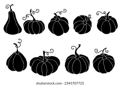 Set of autumn pumpkin silhouettes, zucchini.Vector graphics.