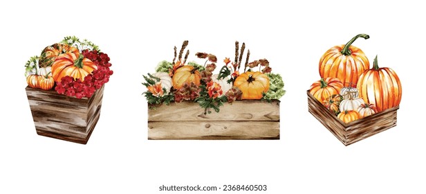 Set of Autumn pumpkin watercolor vector elements on white background great for cards, banners, headers, party posters or decorate your artwork.