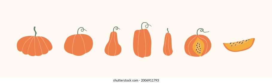 Set of autumn pumpkins, butternut squash and gourd of different shape and sizes, cutted slice and whole. Seasonal fall harvest. Halloween orange vegetables. Colored flat vector illustration on white.