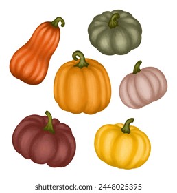 Set autumn pumpkins isolated on white background