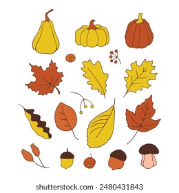 Set of autumn pumpkins, leaves and twigs. Autumn. Season. Flat image. Vector illustration