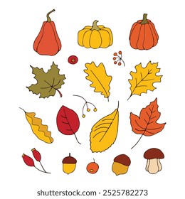 Set of autumn pumpkins, leaves and twigs. Autumn. Season. Flat image. Vector illustration