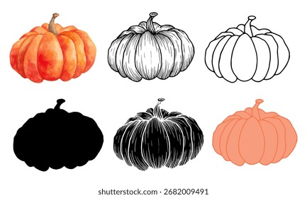 A set of autumn pumpkins in various styles. Vector illustration of the vegetable. Black graphics, hand drawn in doodle style. Berry clipart for farming and harvesting. Thanksgiving, Halloween.