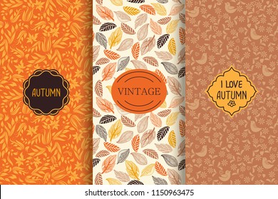 Set of Autumn seamless patterns. Bright floral background with frames. Hand drawn vector illustration