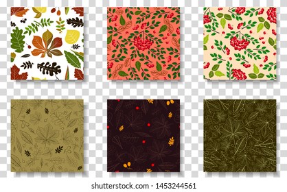 Set of autumn seamless patterns with rowan and leaves on a transparent background.