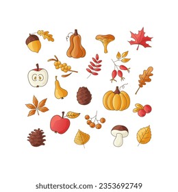 Set of autumn season elements. Collection of fall harvest festival or thanksgiving elements: maple leaf, pumpkin, berries and fruits. Color vector illustration.