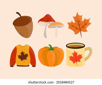 set autumn season include sweater and pumpkin