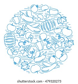 Set of autumn seasonal fruits and vegetables in circle. Tomato, pepper, grapes, zucchini and other fall fruits and vegetables for announcement, advertisement, flyer or banner. Vector illustration.