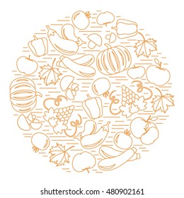 Set of autumn seasonal fruits and vegetables in circle. Tomato, pepper, grapes, zucchini and other fall fruits and vegetables for announcement, advertisement, flyer or banner. Vector illustration.