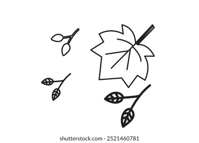 Set of autumn silhouettes of leaves and berries. Isolated on white background.