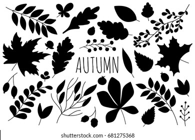 Set of autumn silhouettes of leaves and berries. Isolated on white background. 