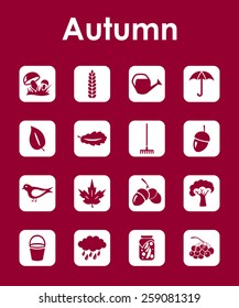 Set of autumn simple icons