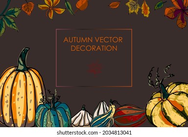 Set of autumn social media stories. Colorful banners with autumn illustrations. Background collection with place for text. The concept of invitations to events, promotion, advertising. 