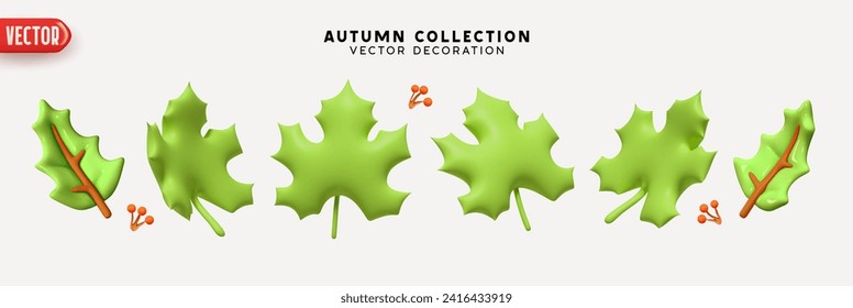 Set of autumn and summer green maple leaves on a white background. Realistic 3d cartoon plastic style. Decorative elements for seasonal compositions. vector illustration
