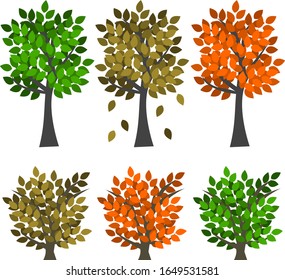 Set of autumn and summer trees and bushes. Colorful trees and bushes with orange, green and red leaves. Cartoon trees on white background. Vector illustration.