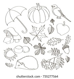 Set of autumn symbols