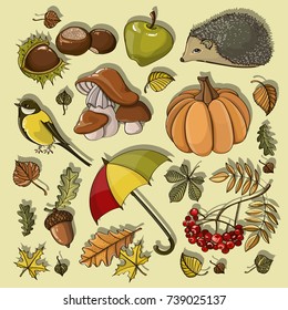 Set of autumn symbols