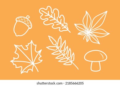 set of autumn symbols, white outline oak, maple, chestnut, rowan leaf, mushroom, acorn, set of fall decorative drawing clip-art, doodle vector elements, orange background