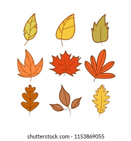 Set of Autumn Theme Cartoon Illustration Design Template