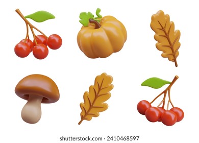 Set of autumn themed elements. Vector 3D decorations for web design. Oak leaf, bunch of red berries, pumpkin, mushroom. Color templates in cartoon style