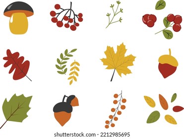 A set of autumn things in a cute cartoon style. Vector illustration of a group of objects. Template for the design of autumn holidays, postcards, stories, patterns, etc