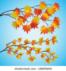 Set of autumn tree with colorful leaves, isolated on blue background. Vector illustration