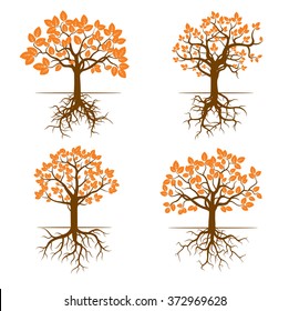 Set of Autumn Trees with Color leaves and Roots. Vector outline Illustration. Seasonal tree and decorative element for print. 