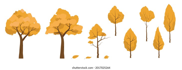 Set of autumn trees flat illustration. Autumn collection oak, pine tree, leaves. yellow orange fall tree autumnal element  fall season gold leaves for city park and forest landscape decoration. 