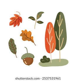 Set of autumn trees, leaves and acorns. Vector illustration in flat style