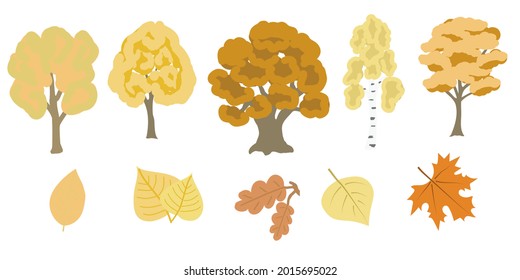 Set of autumn trees and leaves.Oak,maple,birch tree,beech,linden.Vector illustration in flat style.Isolated elements