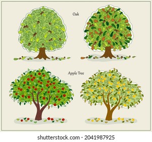 Set of autumn trees on white background. Oak, apple tree.