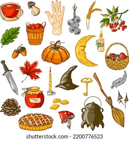 Set autumn vector elements. Hand drawn illustration. Mystical rural autumn