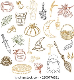 Set autumn vector elements. Outline hand drawn illustration. Mystical autumn
