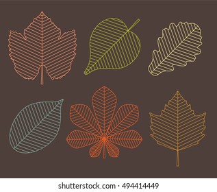 Set of autumn vector leaves
