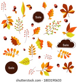 Herbstblätter zur Förderung und Vermarktung