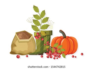 Set of autumn vegetables and gardening tools. Pumpkin, red berries, soil, green rubber boots for gardening. Agricultural vector